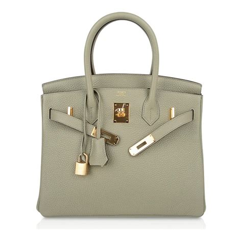 hermes birkin sauge|Altro.